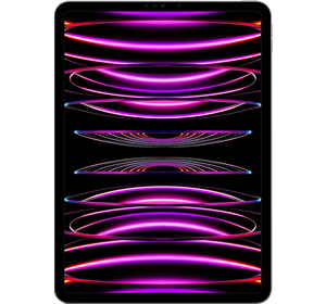 Apple 2022 iPad Pro 11 5G Wi-Fi 4th generation