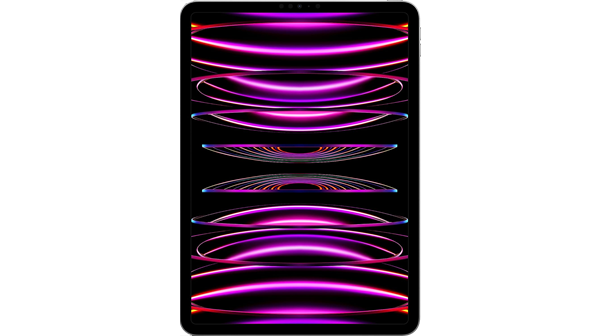 Apple 2022 iPad Pro 11 5G Wi-Fi 4th generation