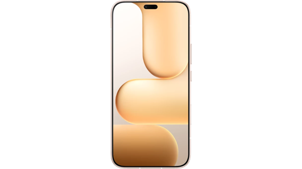HONOR 600 Lite